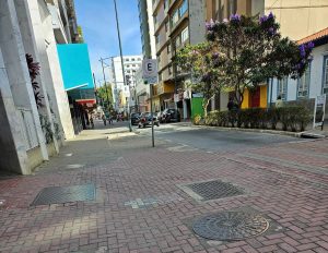 BORGES - Martim Francisco Borges de Andrada 4 BORGES - Martim Francisco Borges de Andrada - 5 IB220723