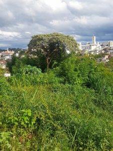 Moradores do Diniz, em Barbacena, temem pela segurança em área de risco - Imagem do WhatsApp de 2024 12 30 as 20.11.55 503fe33c