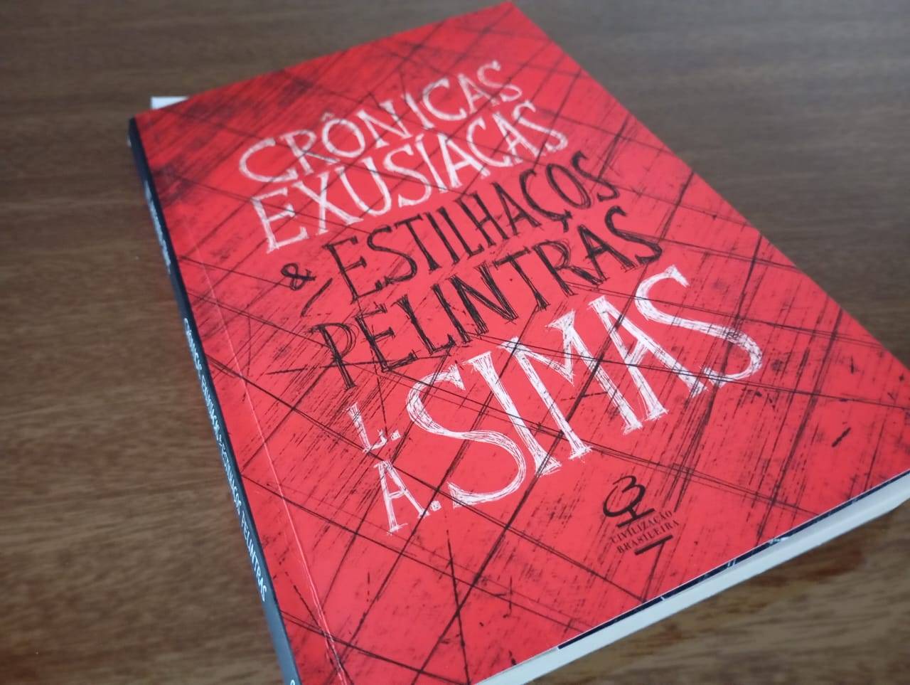 Cidade das (P)Rosas: o escritor Luiz Antônio Simas e o estilhaço que atingiu Barbacena - Imagem do WhatsApp de 2025 01 22 as 13.46.02 560cedb9