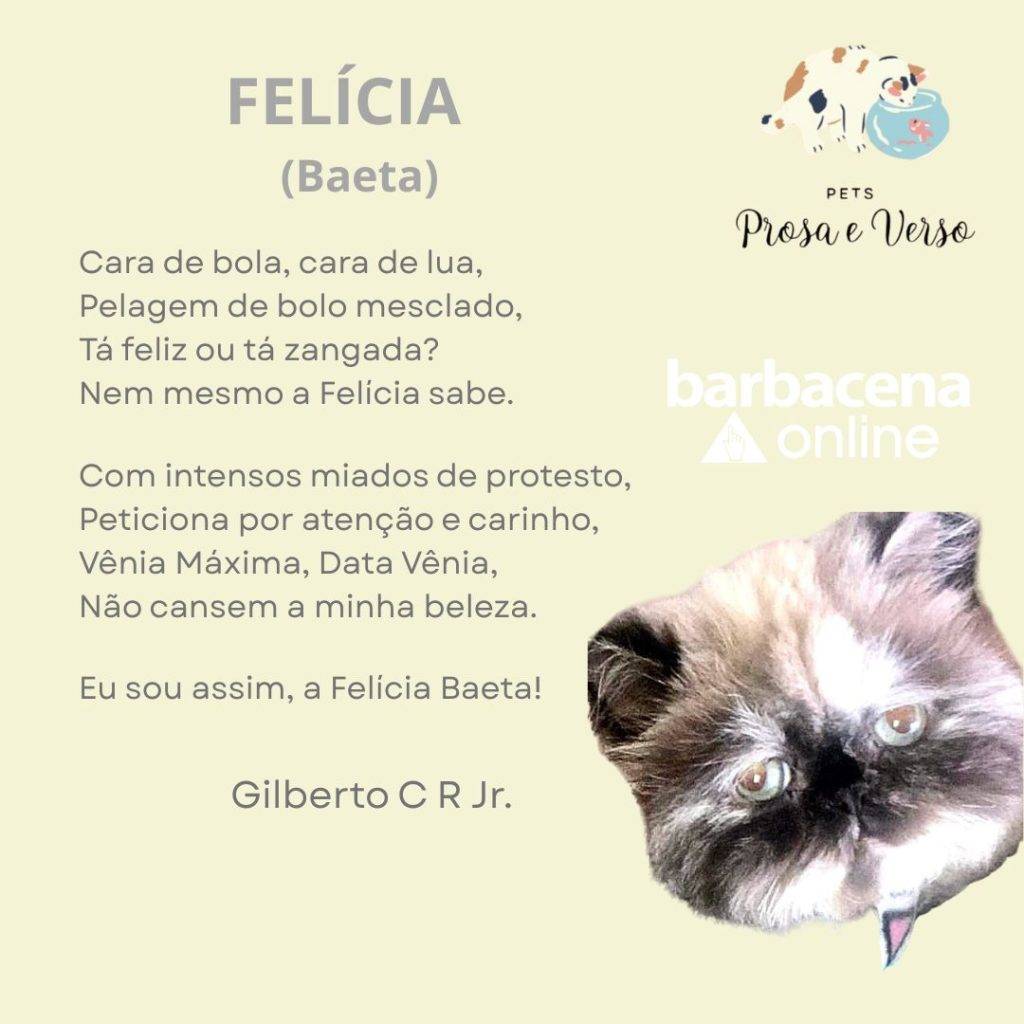 Pets, Prosa e Verso - Felícia - 11 PETS prosa e verso Felicia