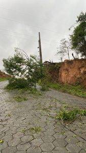Forte chuva causa estragos e deixa moradores sem energia em Capela Nova - IMG 20251031 WA0010
