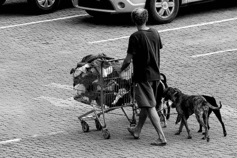 52872398227-806d87208f-c