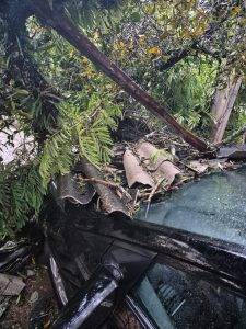 Chuva derruba árvores sobre veículos em condomínio de Barbacena - IMG 20251109 WA0007