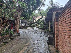 Chuva derruba árvores sobre veículos em condomínio de Barbacena - IMG 20251109 WA0008