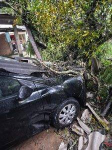 Chuva derruba árvores sobre veículos em condomínio de Barbacena - IMG 20251109 WA0010