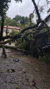 Chuva derruba árvores sobre veículos em condomínio de Barbacena - IMG 20251109 WA0012