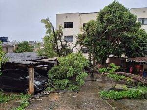Chuva derruba árvores sobre veículos em condomínio de Barbacena - IMG 20251109 WA0014