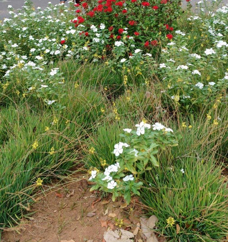 Imagem do WhatsApp de 2025-10-30 à(s) 19.24