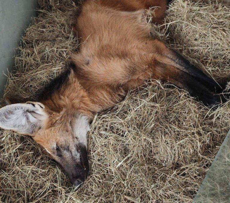 Imagem do WhatsApp de 2025-11-01 à(s) 17.31