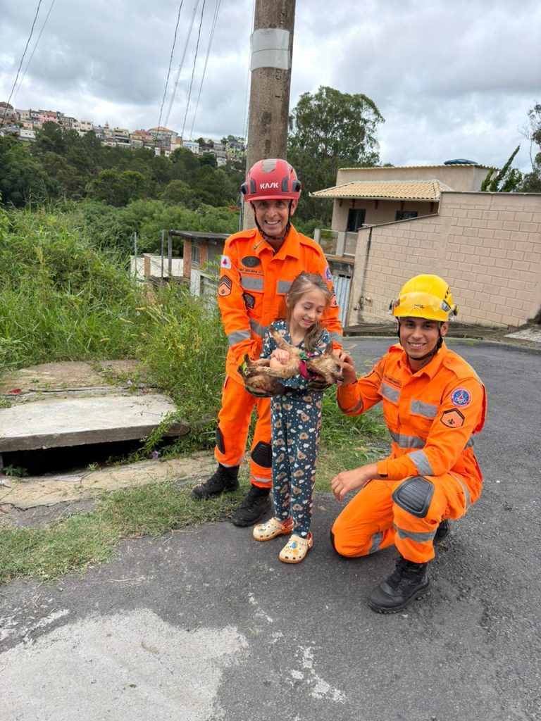 Cadela resgatada em bueiro no bairro Santa Tereza - Foto de Fernando 1 2