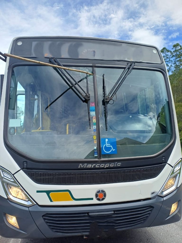 Pedestre danifica ônibus com galho de árvore na BR 040 - Foto de Fernando 2