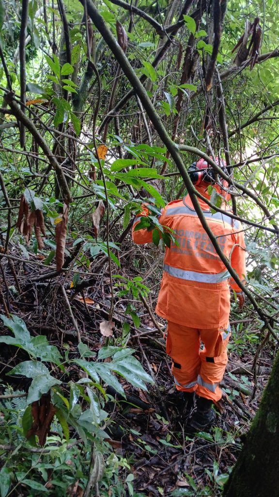 Filhote de cachorro resgatado após ficar três dias perdido às margens de rio - Foto de Fernando 20