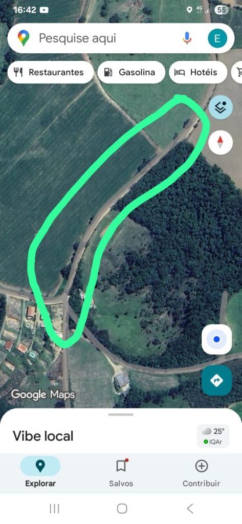 Pitbull assusta moradores da comunidade do Faria - WhatsApp Image 2026 01 08 at 16.43.41