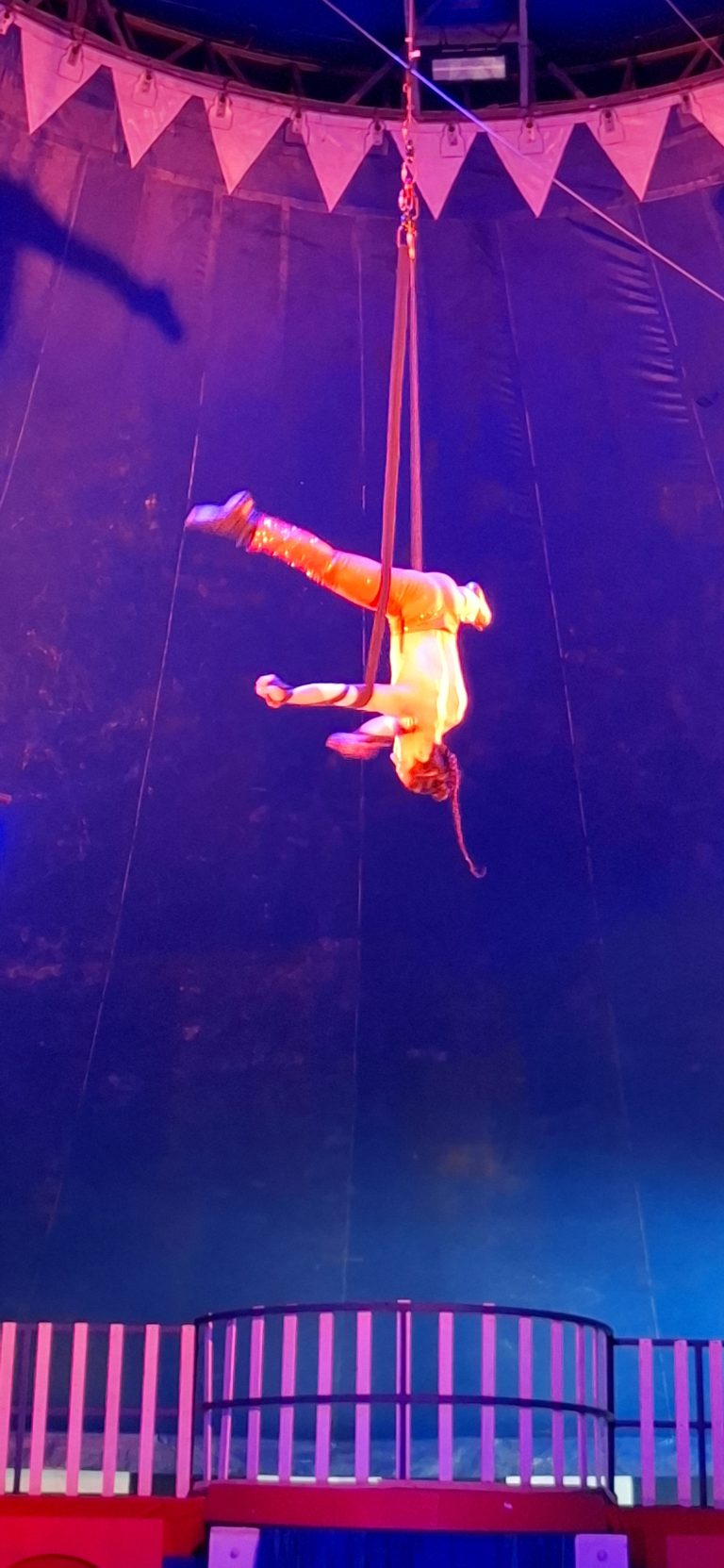 Marcos Frota leva crianças ao picadeiro em noite de estreia em Barbacena - 20260219 204833