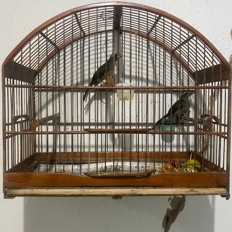 Foto de Fernando (5)