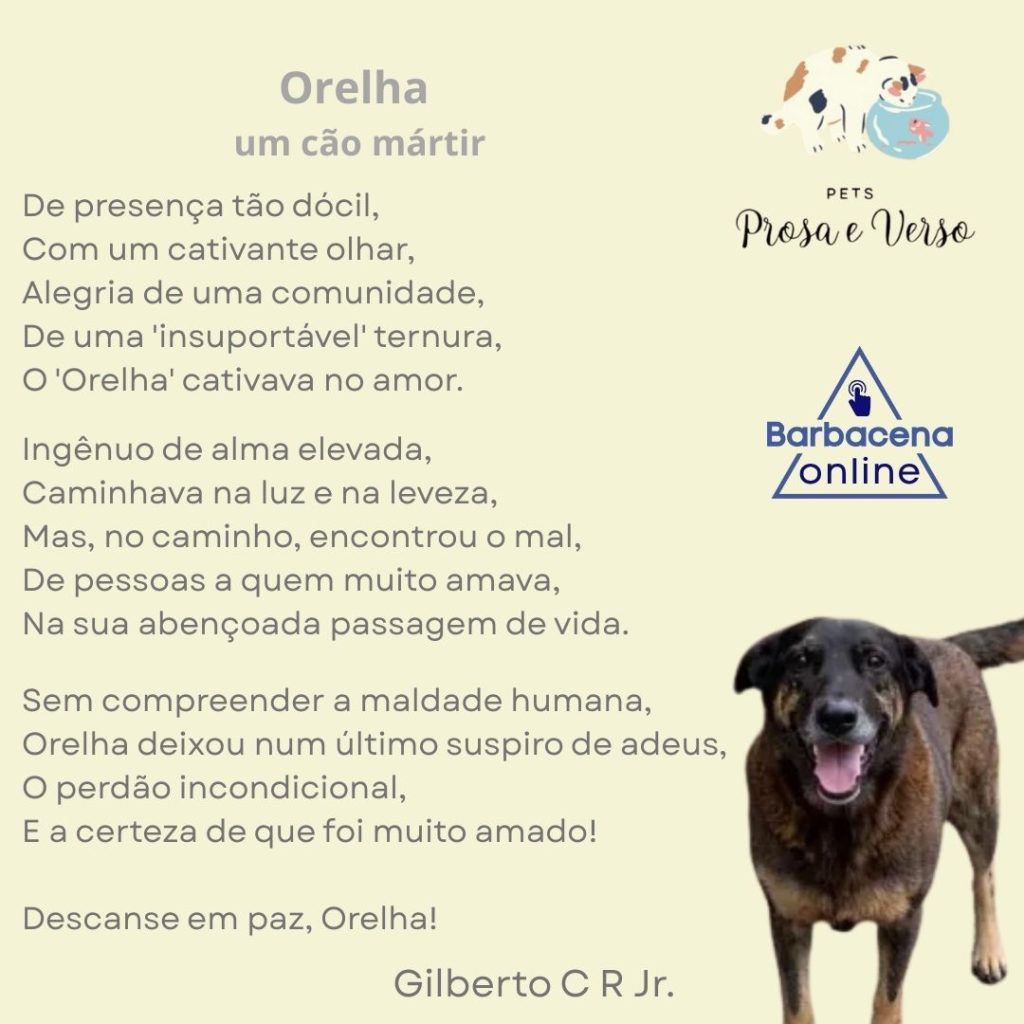 Pets, Prosa e Verso - Orelha, o cão mártir - PETS prosa e verso Luna