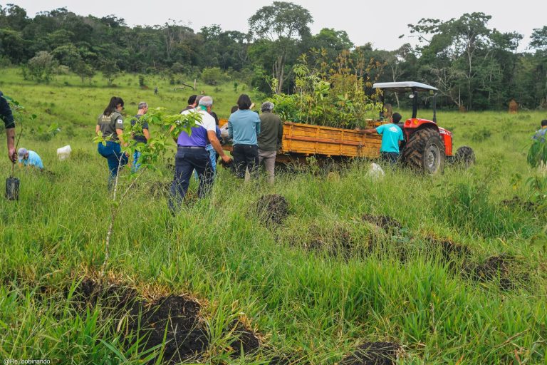 Mutirão ambiental promove plantio de mil mudas no Horto Municipal 1 Mutirão ambiental promove plantio de mil mudas no Horto Municipal - PMudas 1
