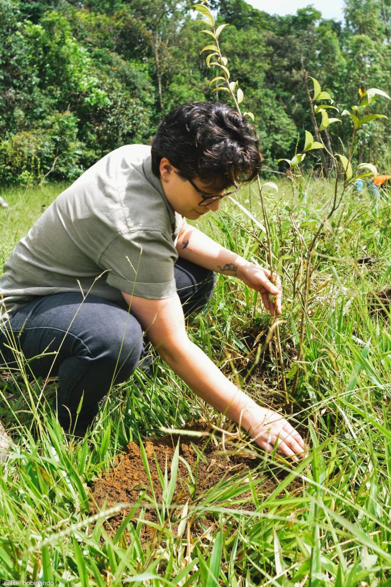 Mutirão ambiental promove plantio de mil mudas no Horto Municipal 18 Mutirão ambiental promove plantio de mil mudas no Horto Municipal - PMudas 10
