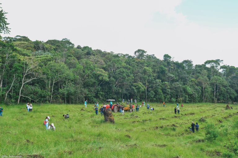 Mutirão ambiental promove plantio de mil mudas no Horto Municipal 7 Mutirão ambiental promove plantio de mil mudas no Horto Municipal - PMudas 11