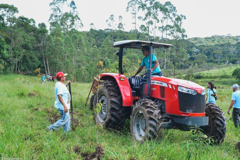 Mutirão ambiental promove plantio de mil mudas no Horto Municipal 9 Mutirão ambiental promove plantio de mil mudas no Horto Municipal - PMudas 13