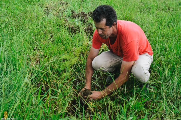 Mutirão ambiental promove plantio de mil mudas no Horto Municipal 14 Mutirão ambiental promove plantio de mil mudas no Horto Municipal - PMudas 18