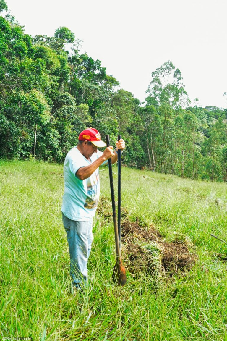 Mutirão ambiental promove plantio de mil mudas no Horto Municipal 16 Mutirão ambiental promove plantio de mil mudas no Horto Municipal - PMudas 4