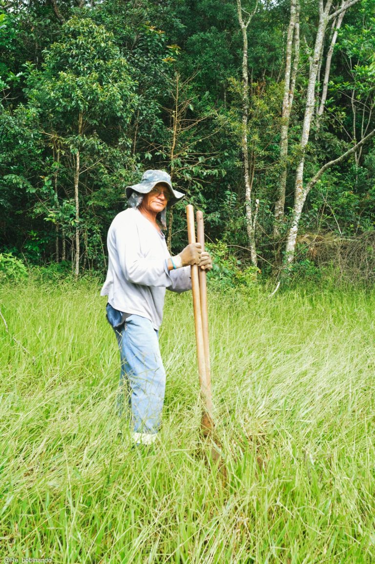 Mutirão ambiental promove plantio de mil mudas no Horto Municipal 17 Mutirão ambiental promove plantio de mil mudas no Horto Municipal - PMudas 5