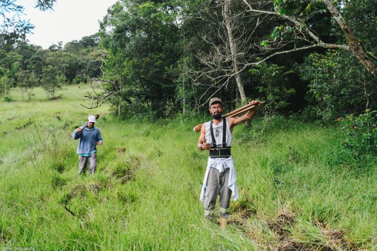 Mutirão ambiental promove plantio de mil mudas no Horto Municipal 4 Mutirão ambiental promove plantio de mil mudas no Horto Municipal - PMudas 7
