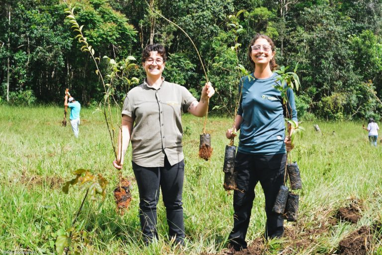 Mutirão ambiental promove plantio de mil mudas no Horto Municipal 6 Mutirão ambiental promove plantio de mil mudas no Horto Municipal - PMudas 9