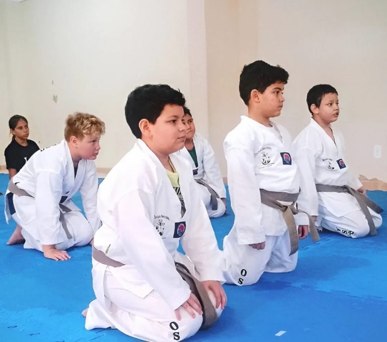 Obras Sociais Santo Antônio (OSSA)