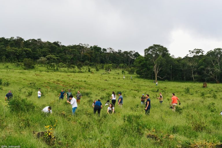 Mutirão ambiental promove plantio de mil mudas no Horto Municipal 15 Mutirão ambiental promove plantio de mil mudas no Horto Municipal - WhatsApp Image 2026 02 03 at 13.24.34