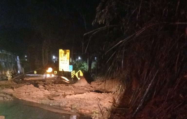 WhatsApp Image 2026-02-09 at 19.52