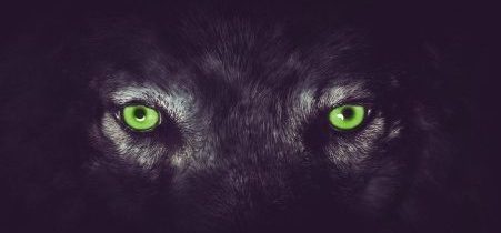 capa eu e eles - olhos brilhantes