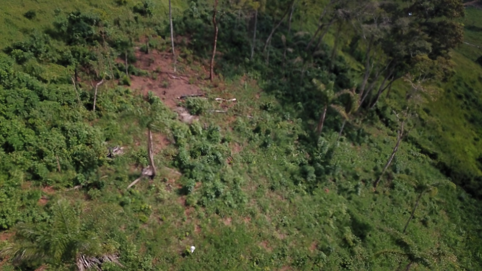 Homem recebe multa de quase R$ 120 mil por crime ambiental em Alto Rio Doce - Foto de Fernando Neto 1 8