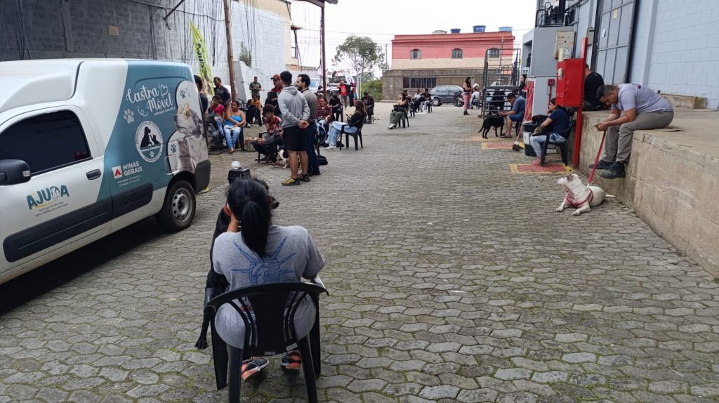 Projeto realiza castração gratuita de centenas de animais em Barbacena - Foto de Fernando Neto 1 9