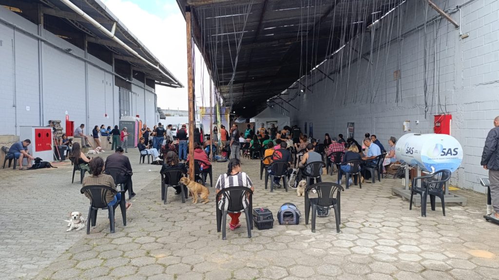 Projeto realiza castração gratuita de centenas de animais em Barbacena - Foto de Fernando Neto 2 7