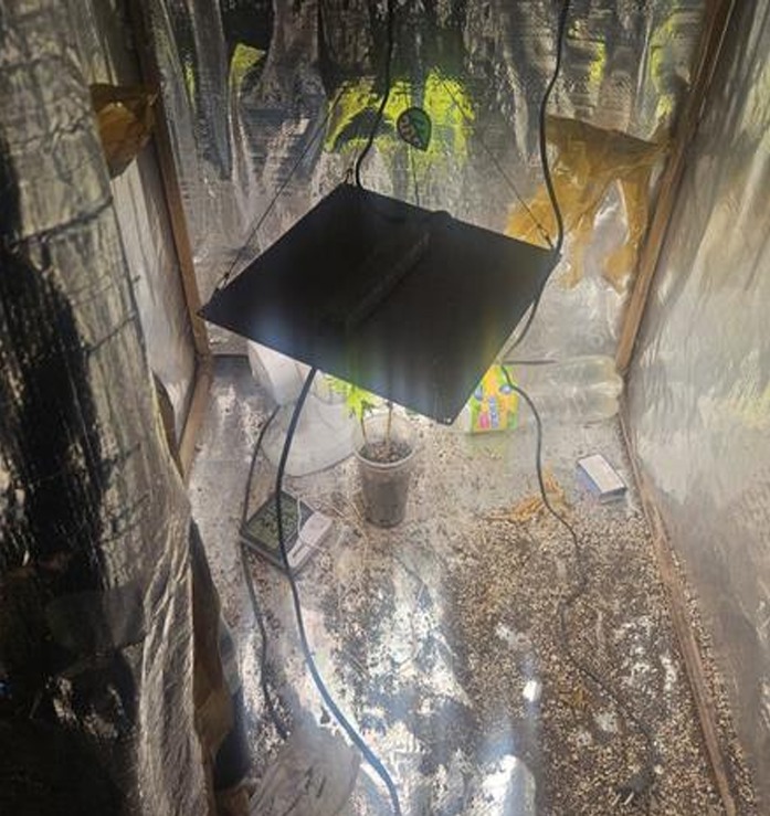 Polícia localiza estufa para cultivo de maconha no bairro Santa Luzia - Foto de Fernando Neto 5 1