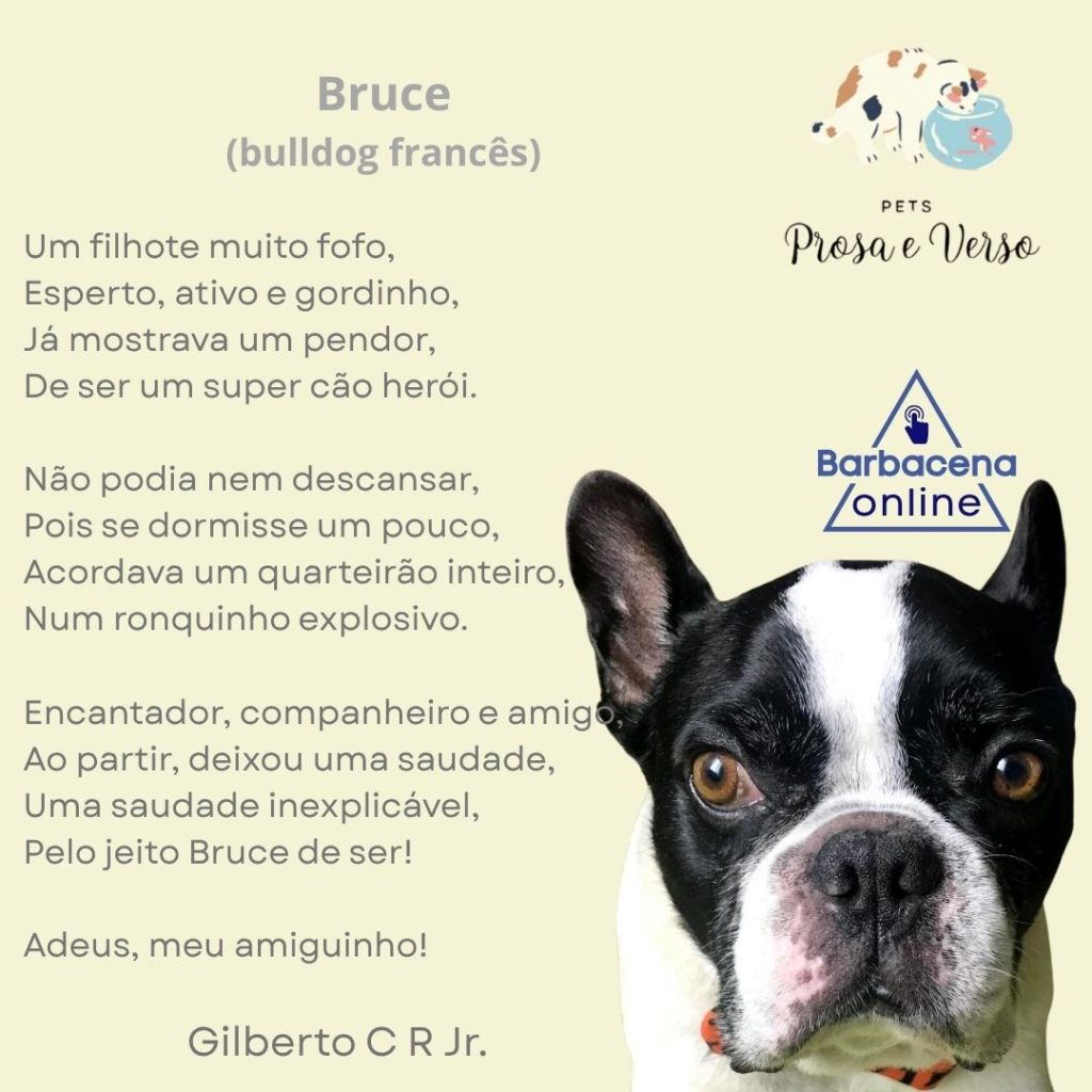 Pets, Prosa e Verso - Bruce - PETS prosa e verso bruce