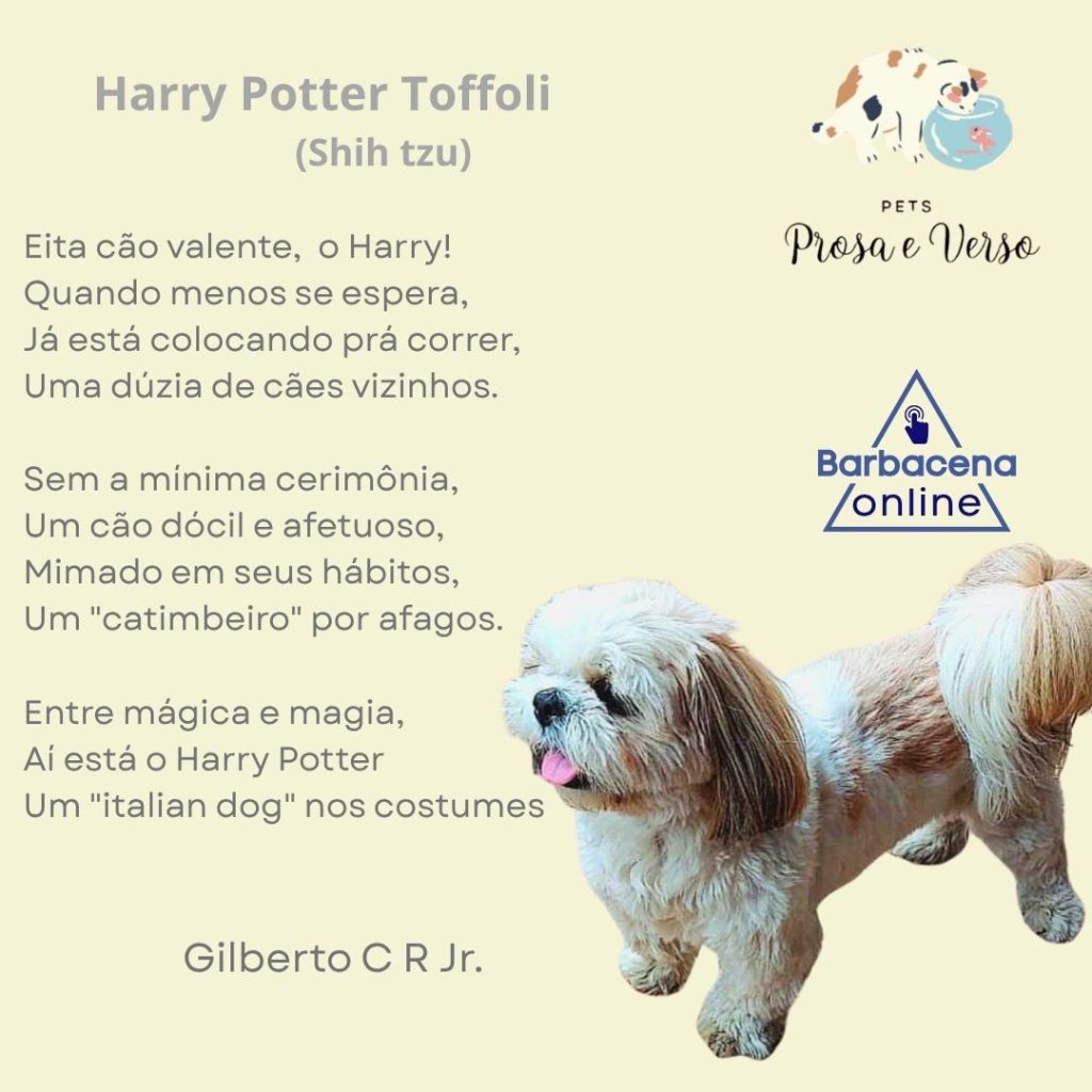 Pets Prosa e Verso - Harry Potter Toffoli - PETS prosa e verso harry potter