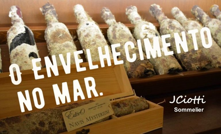 WhatsApp Image 2026-04-09 at 17.22