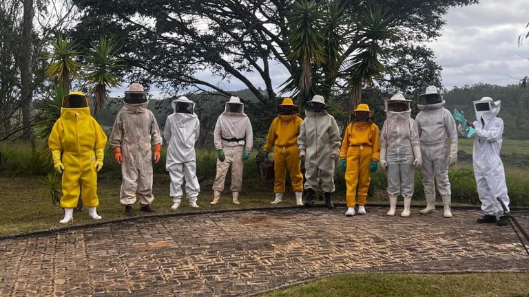 Liga Treinamentos acerta na realização do primeiro curso de apicultura - WhatsApp Image 2026 04 12 at 09.56.44