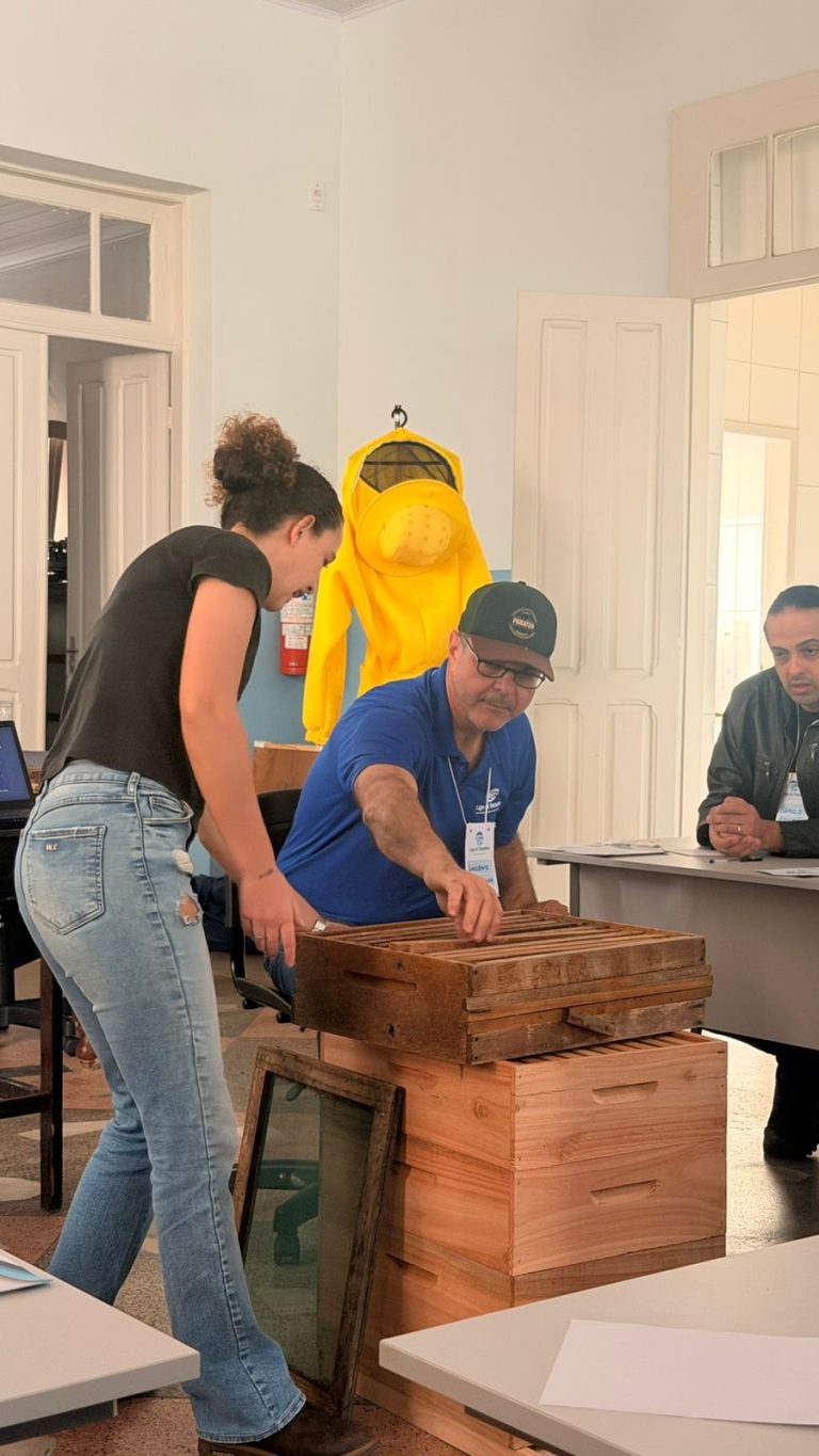 Liga Treinamentos acerta na realização do primeiro curso de apicultura - WhatsApp Image 2026 04 12 at 09.56.45 1