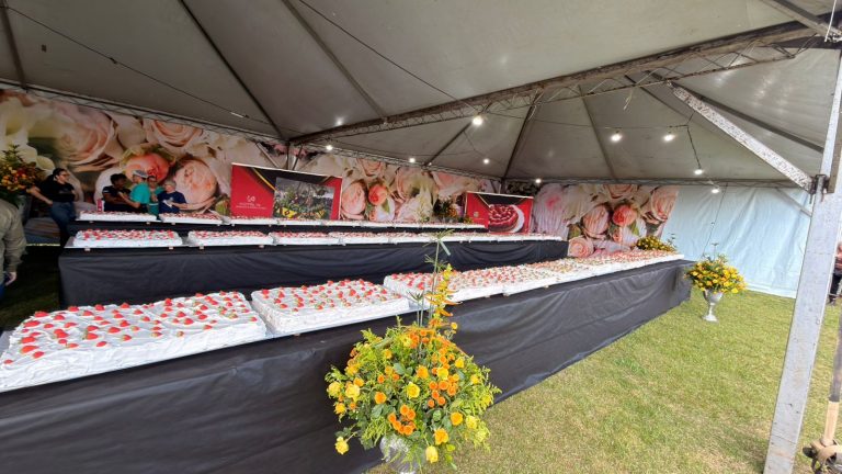 Alfredo Vasconcelos celebra 34 anos com festa, tradição e espírito comunitário - WhatsApp Image 2026 04 19 at 16.11.33 2