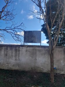 Após anúncio sobre o Hospital Colônia, cemitério de antigos pacientes segue esquecido em Barbacena - WhatsApp Image 2026 04 29 at 10.26.01