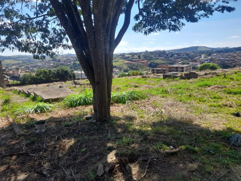 Após anúncio sobre o Hospital Colônia, cemitério de antigos pacientes segue esquecido em Barbacena - WhatsApp Image 2026 04 29 at 10.26.10
