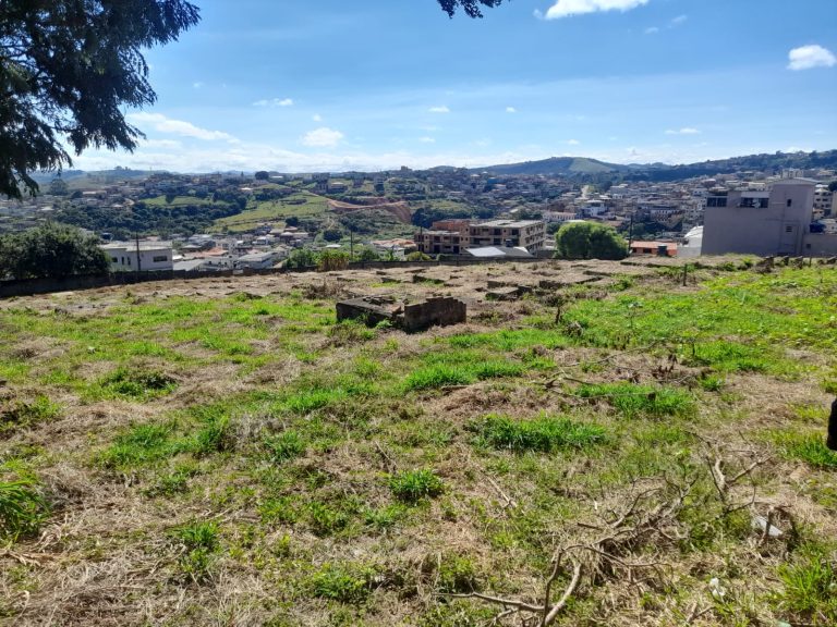 Após anúncio sobre o Hospital Colônia, cemitério de antigos pacientes segue esquecido em Barbacena - WhatsApp Image 2026 04 29 at 10.26.14 1