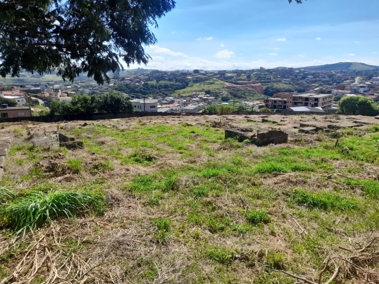 Após anúncio sobre o Hospital Colônia, cemitério de antigos pacientes segue esquecido em Barbacena - WhatsApp Image 2026 04 29 at 10.26.14