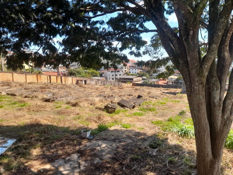 Após anúncio sobre o Hospital Colônia, cemitério de antigos pacientes segue esquecido em Barbacena - WhatsApp Image 2026 04 29 at 10.26.15 2