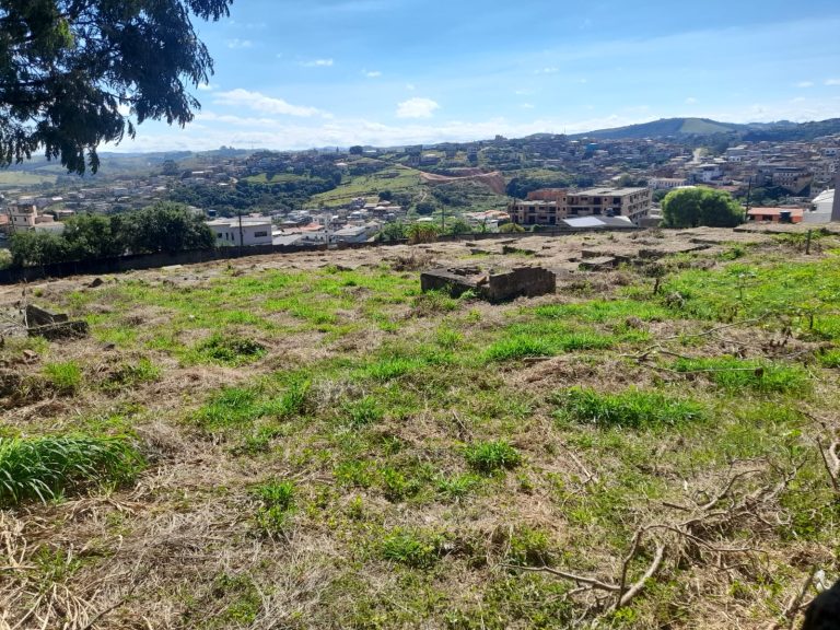 Após anúncio sobre o Hospital Colônia, cemitério de antigos pacientes segue esquecido em Barbacena - WhatsApp Image 2026 04 29 at 10.26.15 3