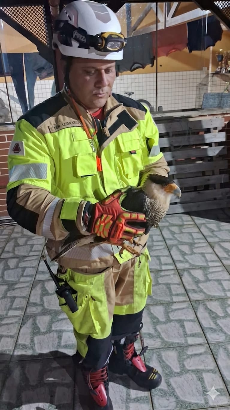 Bombeiros resgatam ave silvestre ferida no Pontilhão - Foto de Fernando 2 3